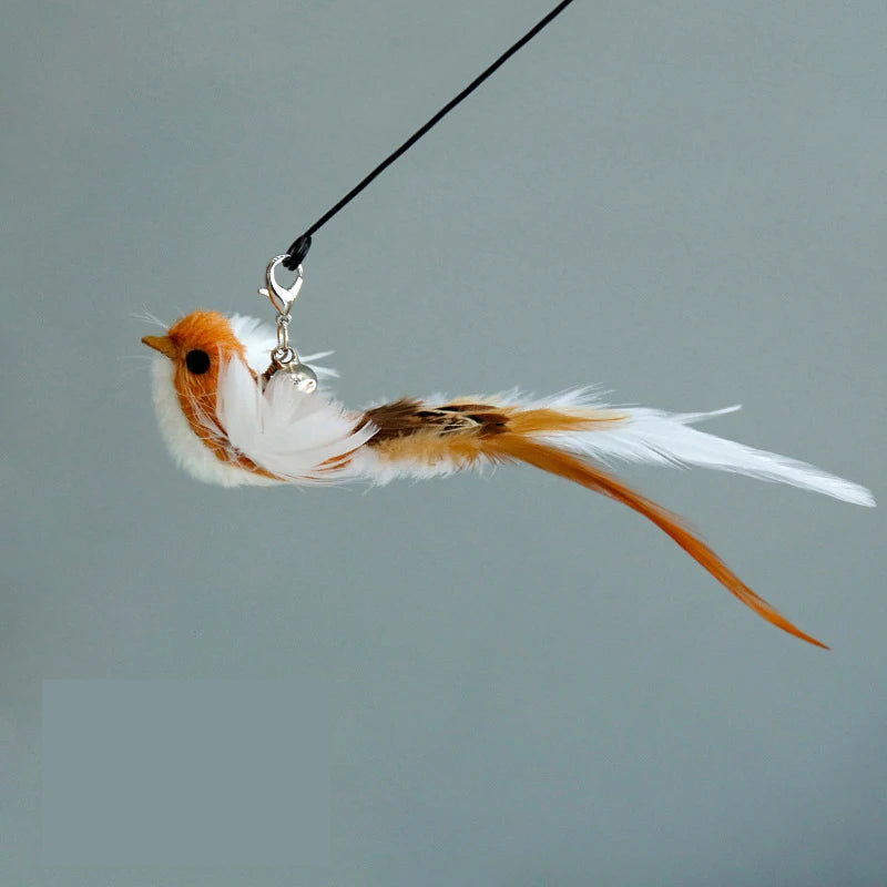 Feather bird cat teaser wand
