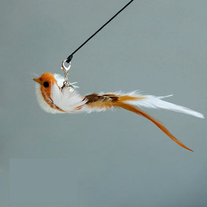 Feather bird cat teaser wand